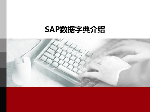 SAP数据字典介绍