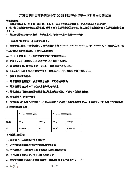 江苏省泗阳县实验初级中学2025届高三化学第一学期期末经典试题含解析