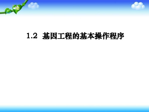 人教版高中生物选修(三)-1.2基因工程的基本操作程序 课件 (共42张PPT)