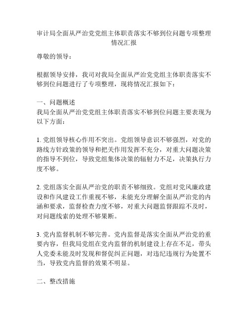 审计局全面从严治党党组主体职责落实不够到位问题专项整理情况汇报