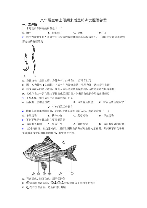 八年级生物上册期末质量检测试题附答案