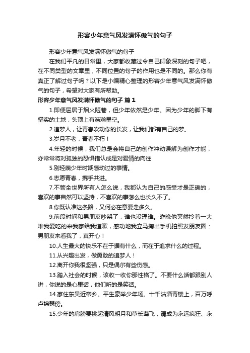 形容少年意气风发满怀傲气的句子