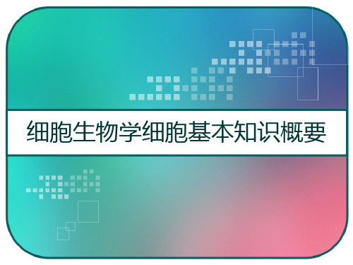 细胞生物学细胞基本知识概要 PPT