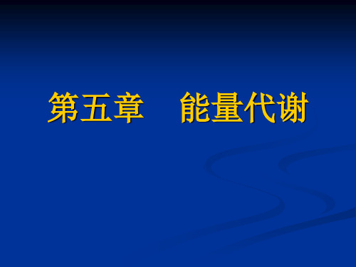 第五章  能量代谢