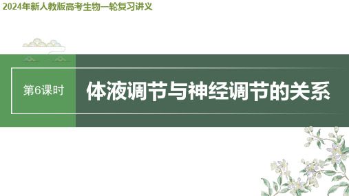 2024年新人教版高考生物一轮复习讲义  第8单元 第6课时 体液调节与神经调节的关系