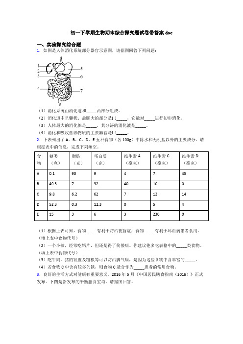 初一下学期生物期末综合探究题试卷带答案doc