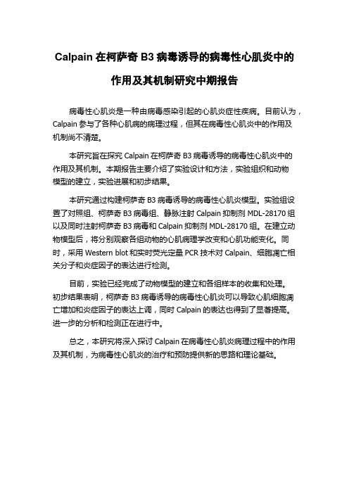 Calpain在柯萨奇B3病毒诱导的病毒性心肌炎中的作用及其机制研究中期报告