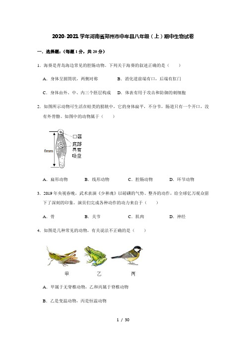 2020-2021学年河南省郑州市中牟县八年级(上)期中生物试卷(解析版)