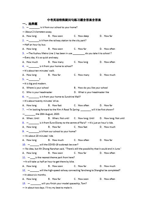 中考英语特殊疑问句练习题含答案含答案