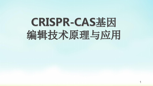 crispr-cas基因编辑技术原理与应用PPT精选文档