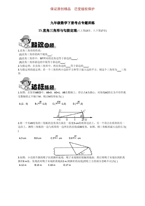 九年级数学下册高频考点专训15.直角三角形与勾股定理第13章第17章