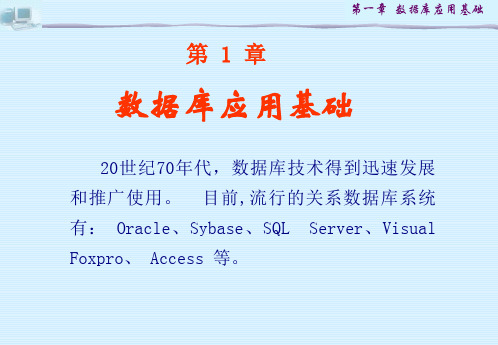 数据库与程序设计数据库应用基础.ppt