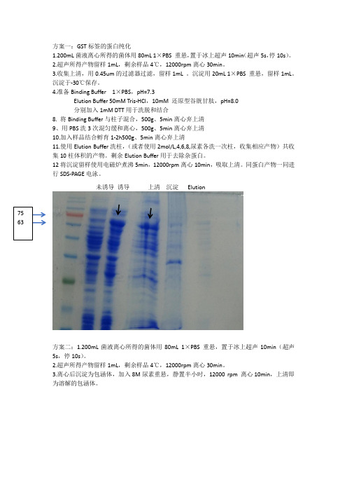 GST标签纯化