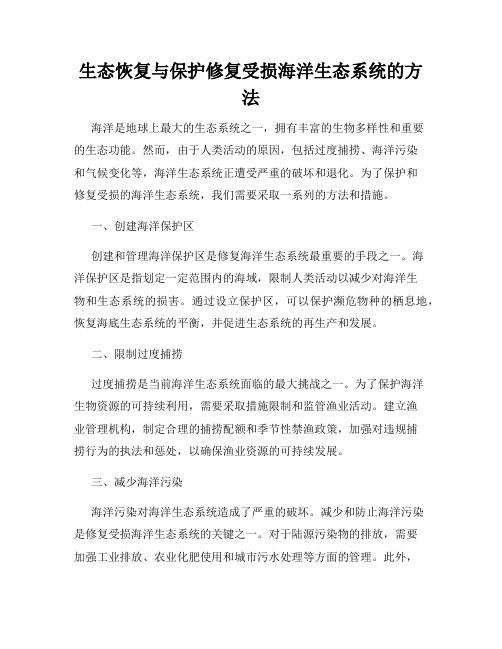 生态恢复与保护修复受损海洋生态系统的方法