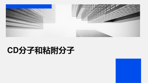 《CD分子和粘附分子》课件