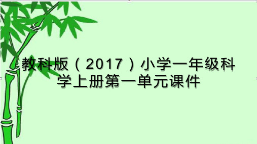 教科版(2017)小学一年级科学上册第一单元《植物》课件(附目录)