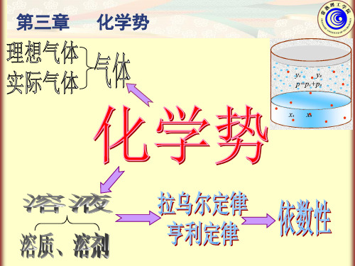 第3章 化学势