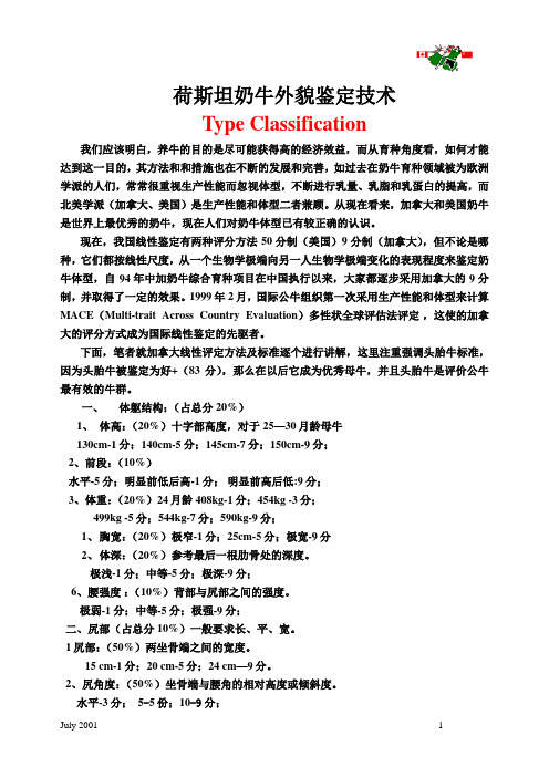 荷斯坦奶牛外貌鉴定技术