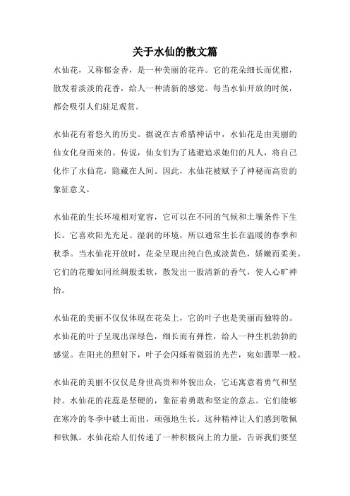 关于水仙的散文篇