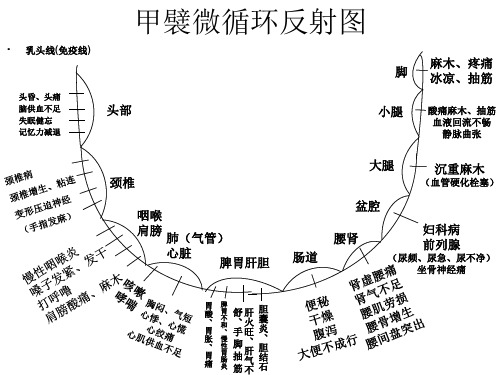 甲襞微循环反射图