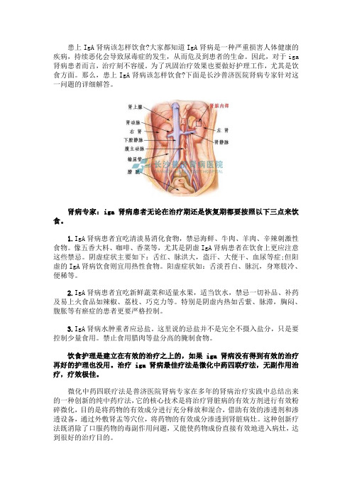 患上IgA肾病该怎样饮食