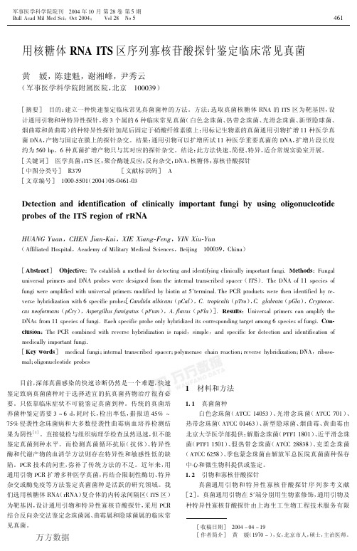 用核糖体RNA+ITS区序列寡核苷酸探针鉴定临床常见真菌