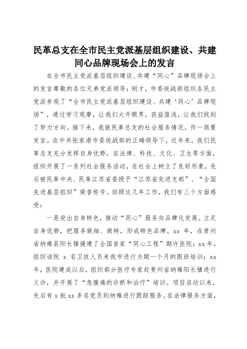 民革总支在全市民主党派基层组织建设共建同心品牌现场会上的发言