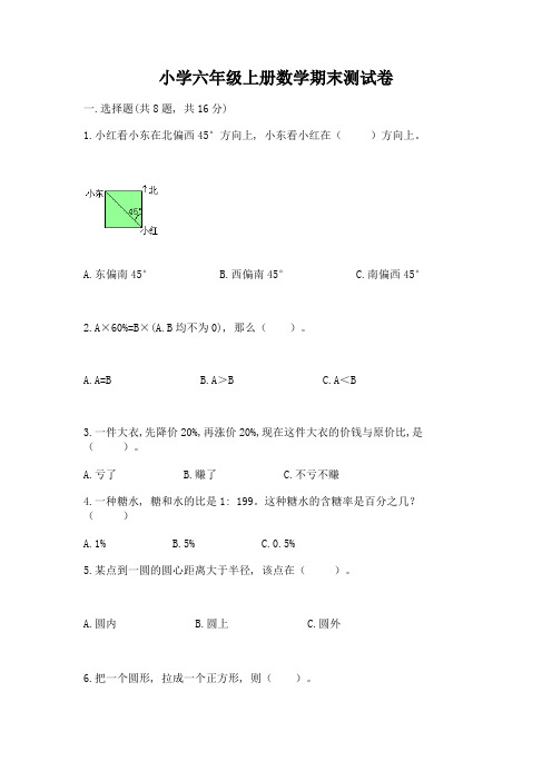 小学六年级上册数学期末测试卷附完整答案(全国通用)