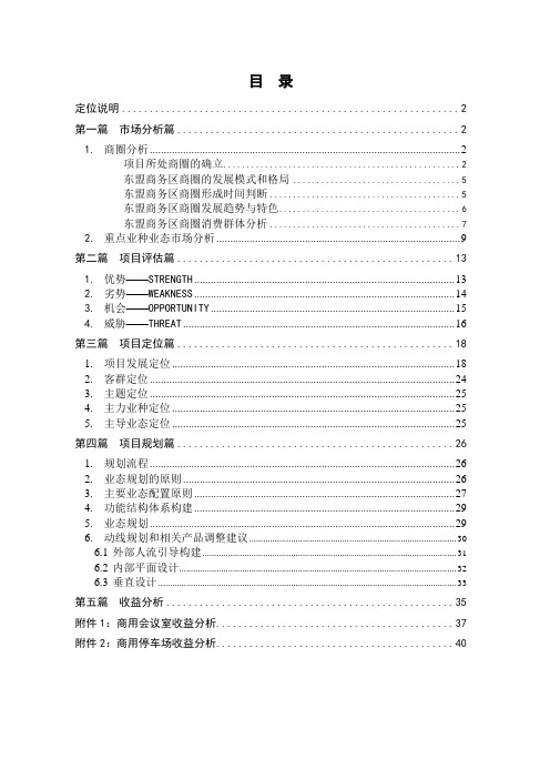 南宁中国东盟国际商贸物流中心商业定位与规划报告