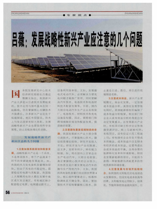 吕薇：发展战略性新兴产业应注意的几个问题