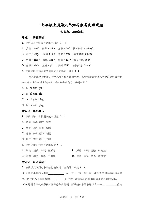 七年级上册语文第六单元考点考向点点通