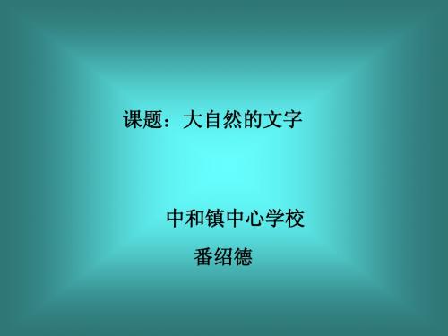 大自然的文字说课PPT课件
