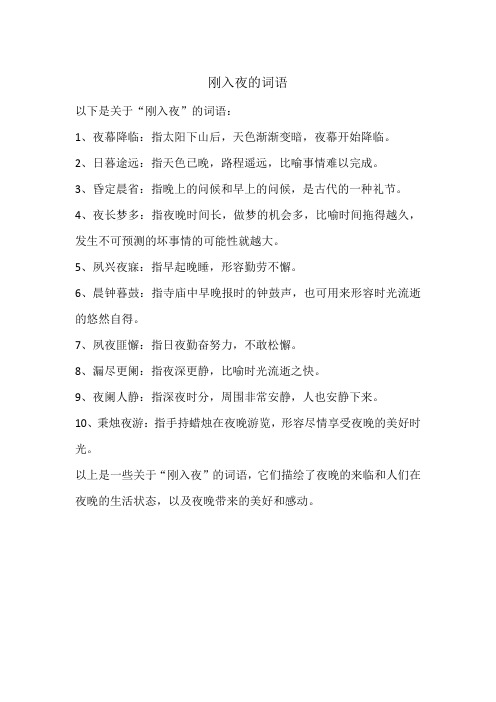 刚入夜的词语