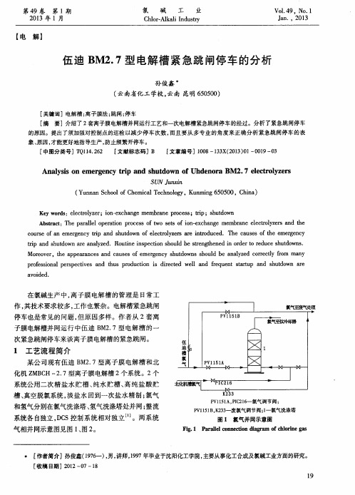 伍迪BM2.7型电解槽紧急跳闸停车的分析