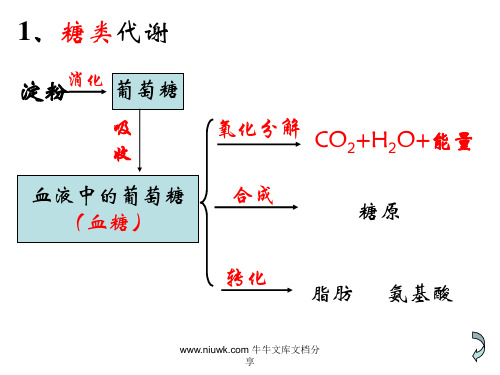 生物体内营养物质的转换