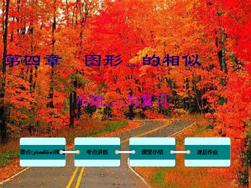 九年级数学上册第四章图形的相似小结与复习教学