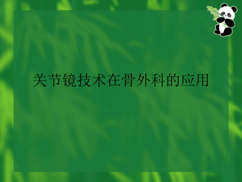 关节镜技术在骨外科的应用 PPT