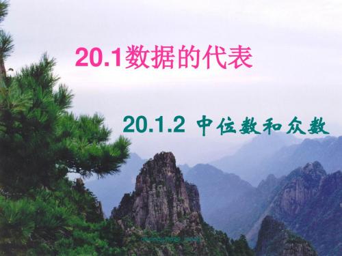 数据的代表ppt