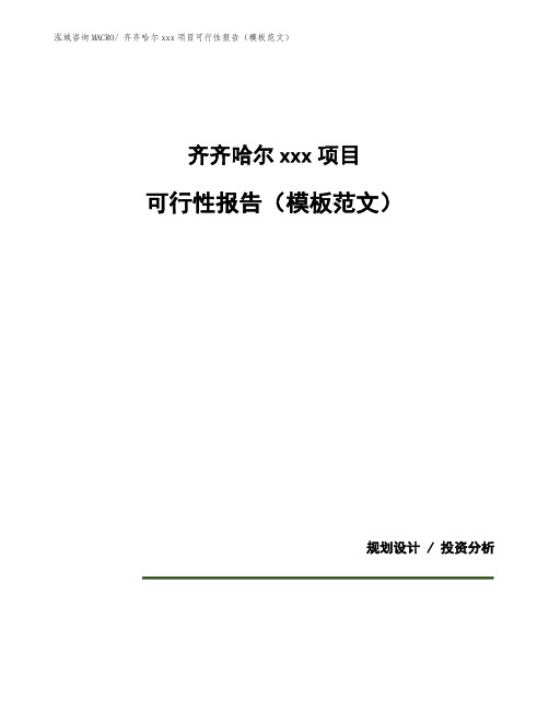 齐齐哈尔建设项目可行性报告(模板范文)