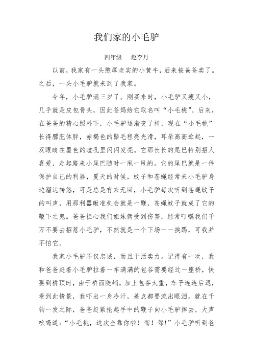 我们家的小毛驴