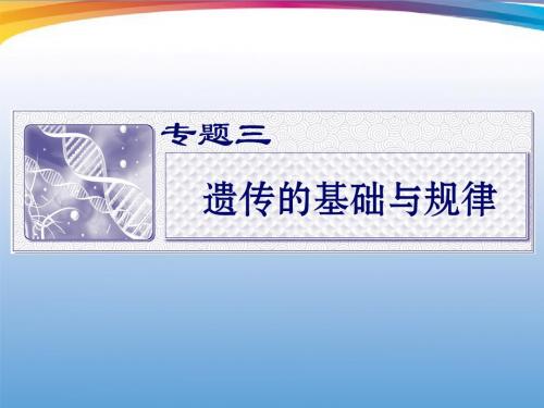 2012届高考生物二轮专题 专题三遗传的分子基础复习课件