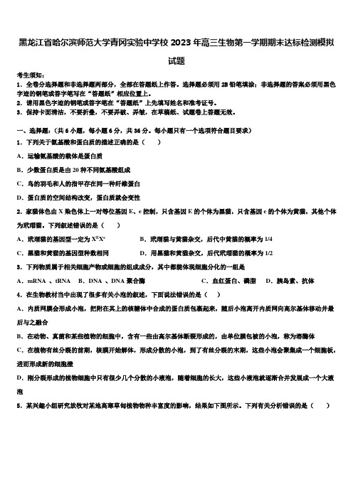 黑龙江省哈尔滨师范大学青冈实验中学校2023年高三生物第一学期期末达标检测模拟试题含解析