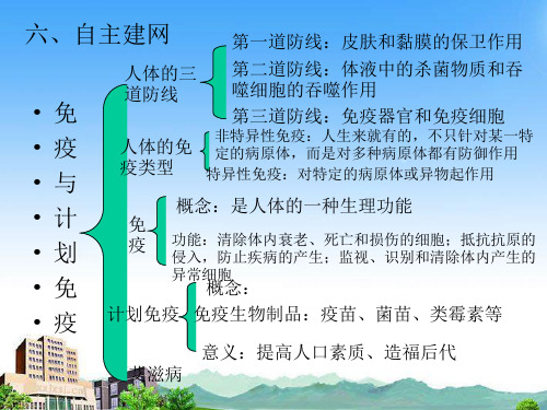 4《安全用药与急救》课件(共45张PPT)