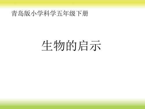 五年级下册科学课件-19 生物的启示 ｜青岛版(五四制) (共29张PPT)