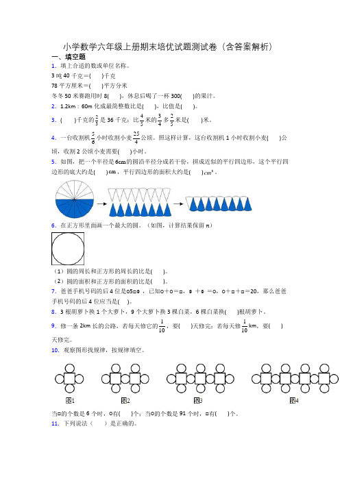 小学数学六年级上册期末培优试题测试卷(含答案解析)