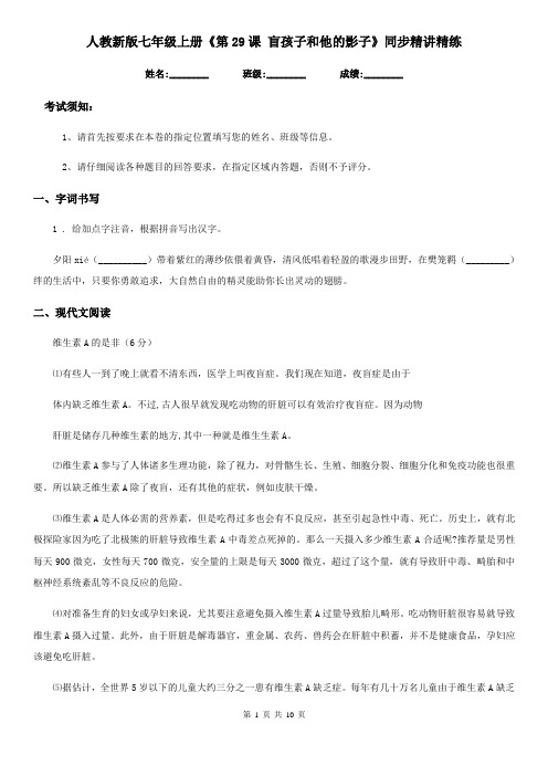 人教新版七年级语文上册《第29课 盲孩子和他的影子》同步精讲精练