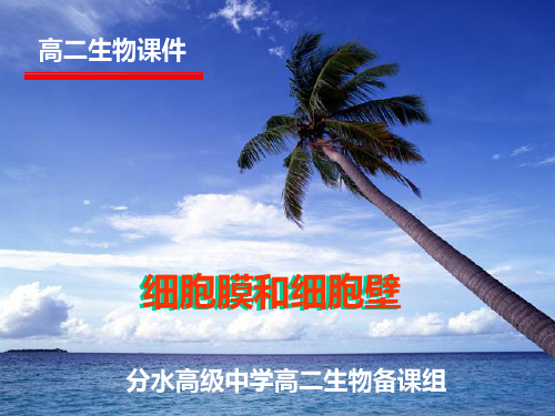 浙江省桐庐分水高级中学高中生物浙科版必修一课件：第二章第二节细胞膜和细胞壁2(共11张PPT)