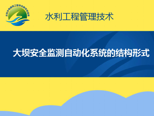 大坝安全监测自动化系统的结构形式标准版文档