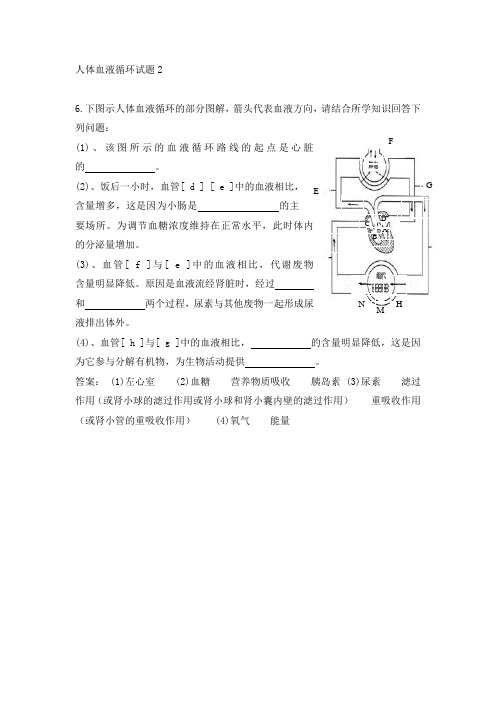 人体血液循环试题2