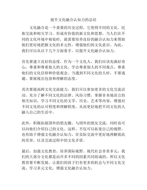 提升文化融合认知力的总结